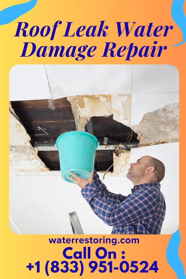 Roof Leak Water Damage Repair in Bentley, KS